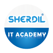 https://academy.sherdil.org