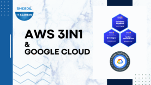 AWS 3in1 & Google Cloud Engineer