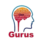 Gurus