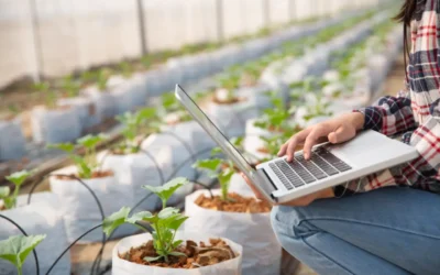 Agriculture Technology: Cloud Solutions for Pakistani Farming