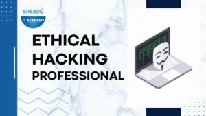 Ethical Hacking Professional (EHP)